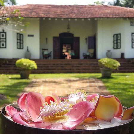 Bed and Breakfast Templeberg Walahanduwa Esterno foto