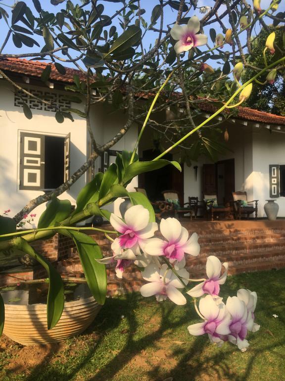 Bed and Breakfast Templeberg Walahanduwa Esterno foto