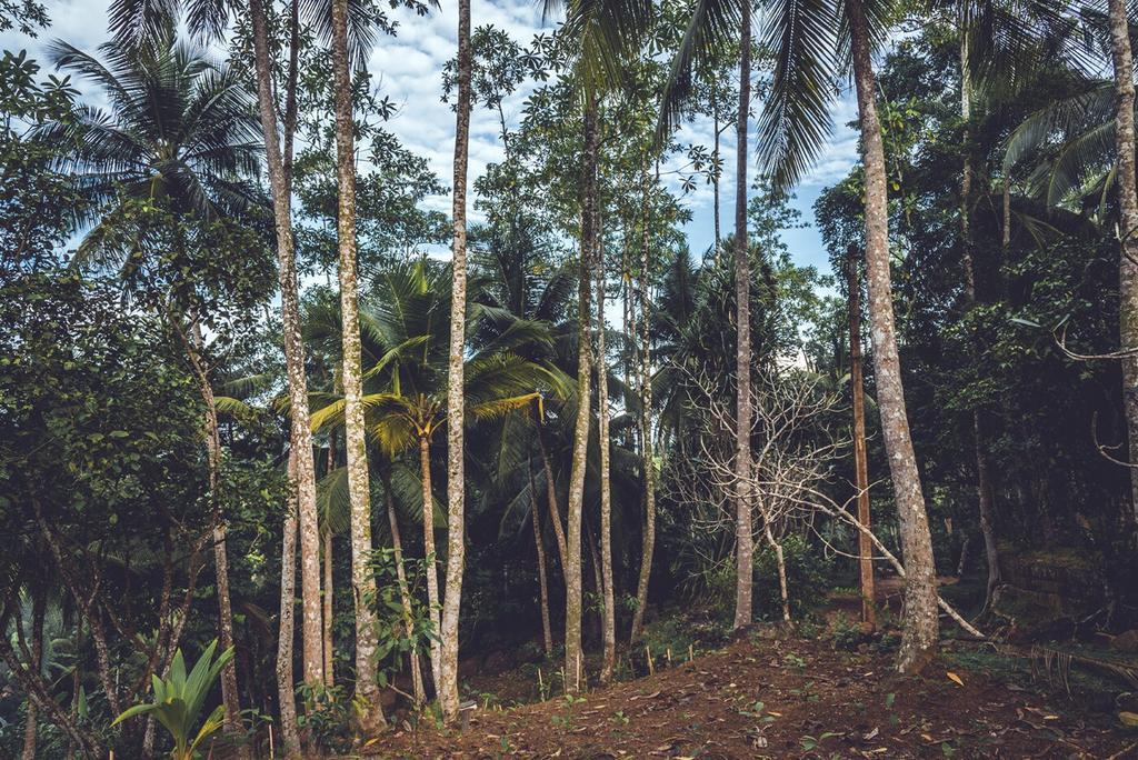 Bed and Breakfast Templeberg Walahanduwa Esterno foto