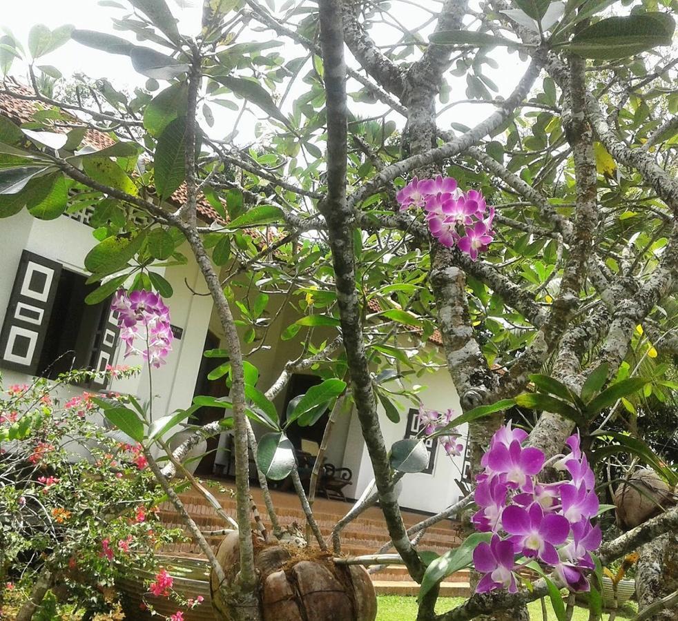 Bed and Breakfast Templeberg Walahanduwa Esterno foto