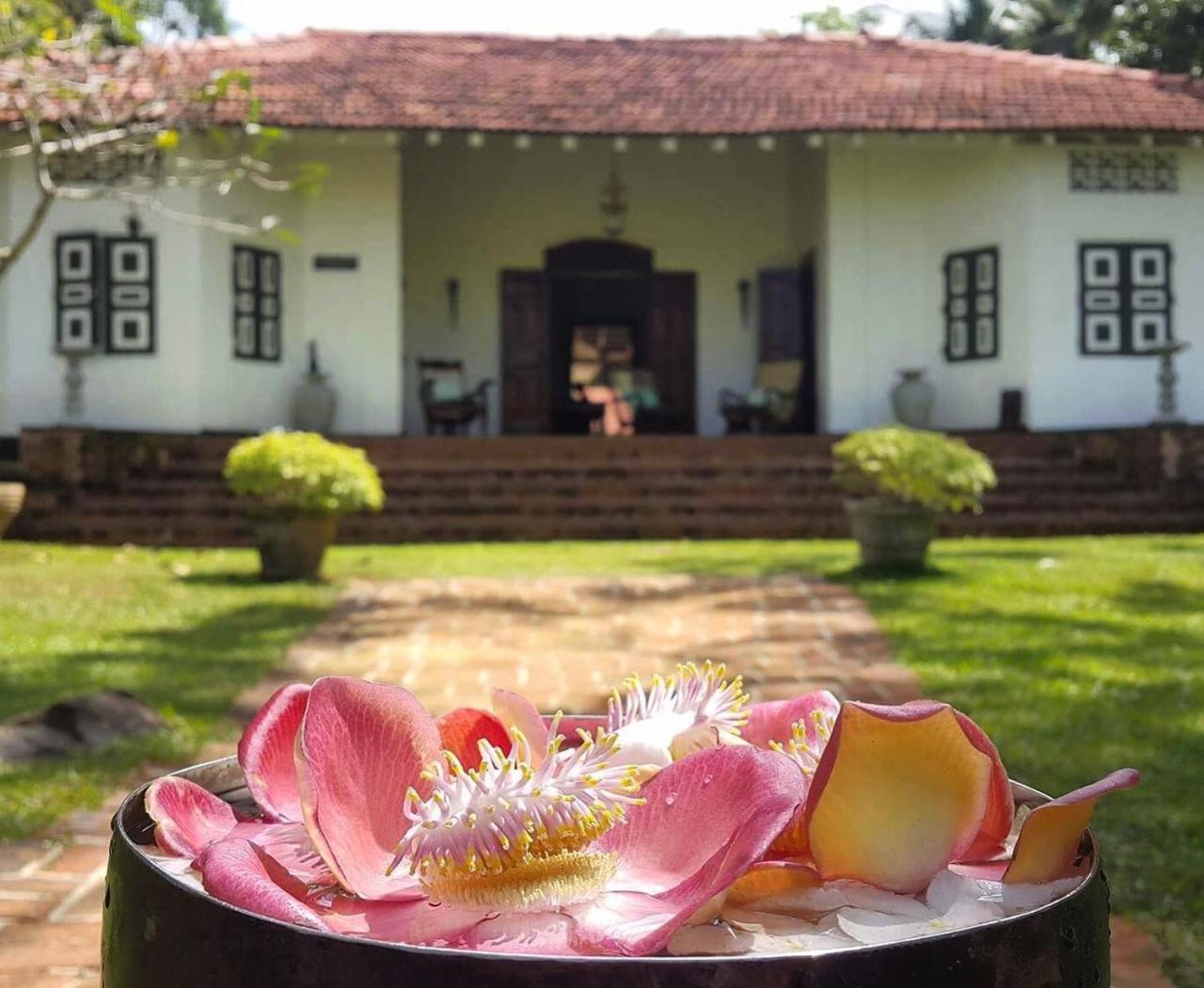 Bed and Breakfast Templeberg Walahanduwa Esterno foto