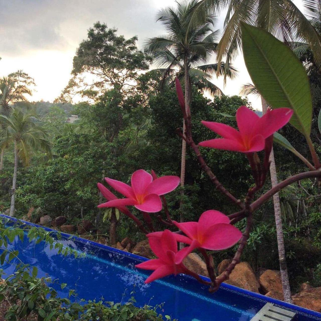 Bed and Breakfast Templeberg Walahanduwa Esterno foto